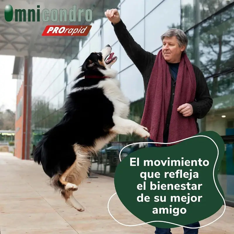 Omnicondro Prorapid, 60 Comprimés