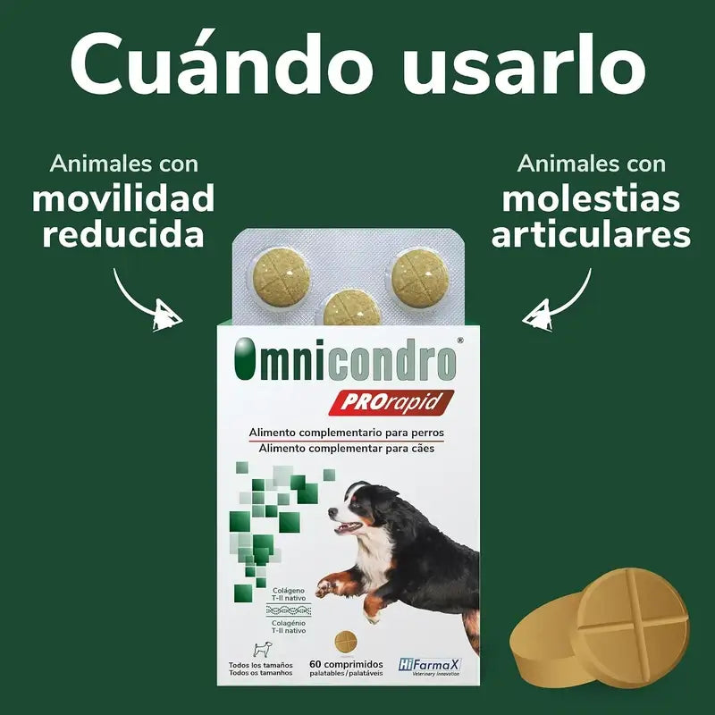 Omnicondro Prorapid, 60 Comprimés