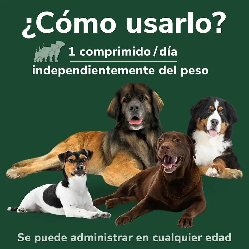 Omnicondro Prorapid, 60 Comprimés