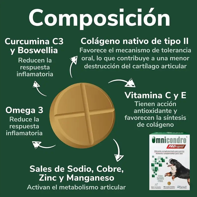 Omnicondro Prorapid, 60 Comprimés
