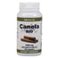 Ortocel Nutri-Therapy Cinnamon 1000Mg. 100 Capsules