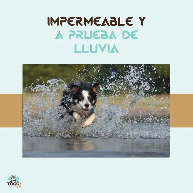 Pack Togo Collier répulsif antiparasitaire pour chiens de toutes tailles