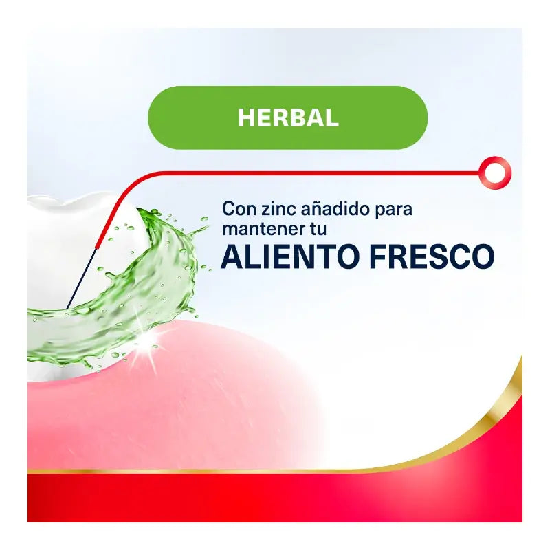Parodontax Bain de bouche quotidien à base de plantes pour le soin des gencives, 500 ml
