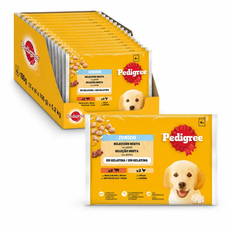 Pedigree 4Pack Junior Poulet & Riz Sachets 13X4X100