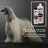 Petuxe Two-Phase Conditioner, Tous types de cheveux 1000 Ml