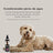 Petuxe Water Dog Après-shampooing texturant 300 Ml