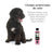 Petuxe Shampooing raviveur de couleur (cheveux noirs et foncés) 200 ml