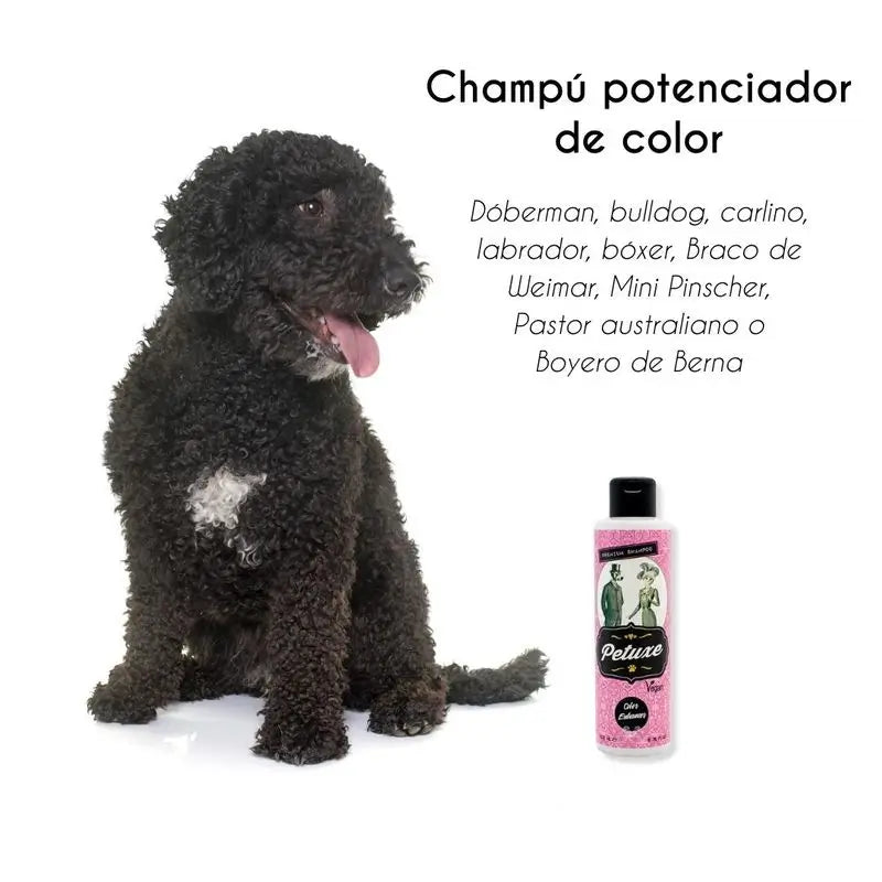 Petuxe Colour Booster Shampooing (cheveux noirs et foncés) 500 ml