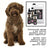 Petuxe Special Water Dog Shampooing texturant 200 Ml