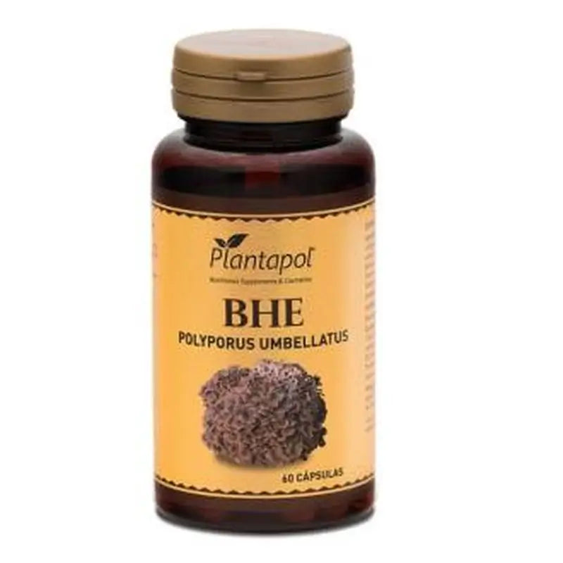 Plantapol Bhe Polyporus + Rosehip 60 Capsules
