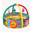 Playgro Safari Ball Activity Gym