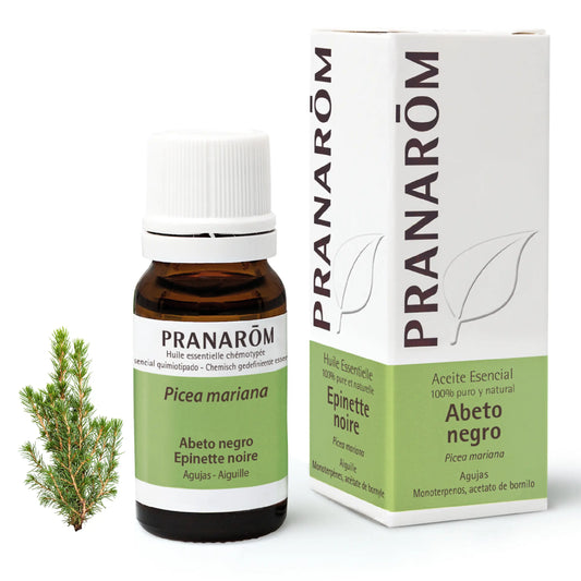 Pranarom Black Spruce Essential Oil, 10ml