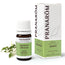 Pranarôm Jasmine Absolute 5 ml