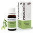 Pranarom Essential Oil Eucalyptus Radiata, 30ml