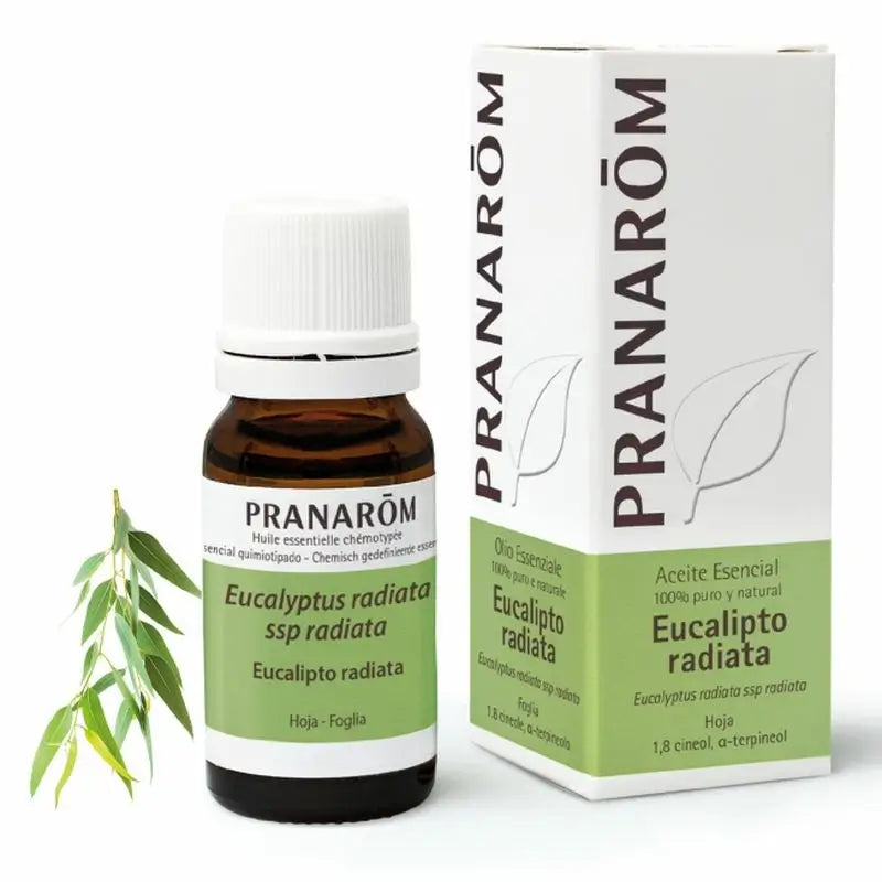 Pranarôm Eucalyptus Radiata Essential Oil 10 ml