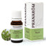 Pranarom Niaouli Essential Oil, 10ml