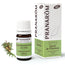 Pranarôm Organic Cypress Of Provence, 5 ml