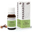 Pranarom Organic Clove Chemotyped Essential Oil 100% Pure & Natural Oral Comfort, 10 ml