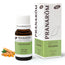 Pranarôm Organic Turmeric, 10 ml