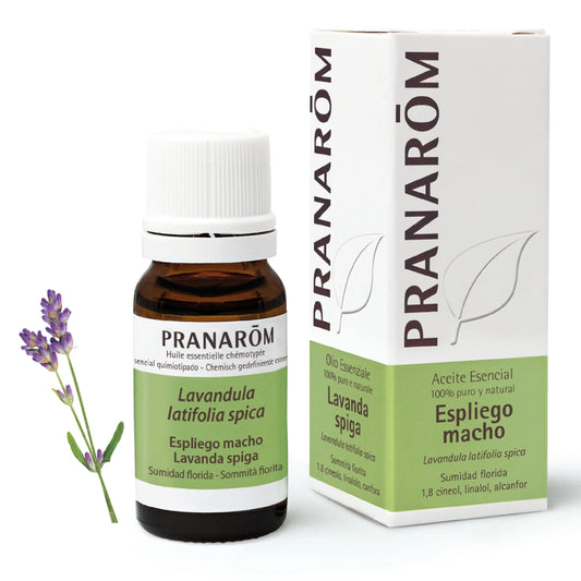 Pranarom Essential Oil Chemotyped Lavender Aspic Mosquito and Insect Bites 100% Pure & Natural , 10 ml