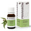 Pranarôm Eucalyptus Organic 10 ml