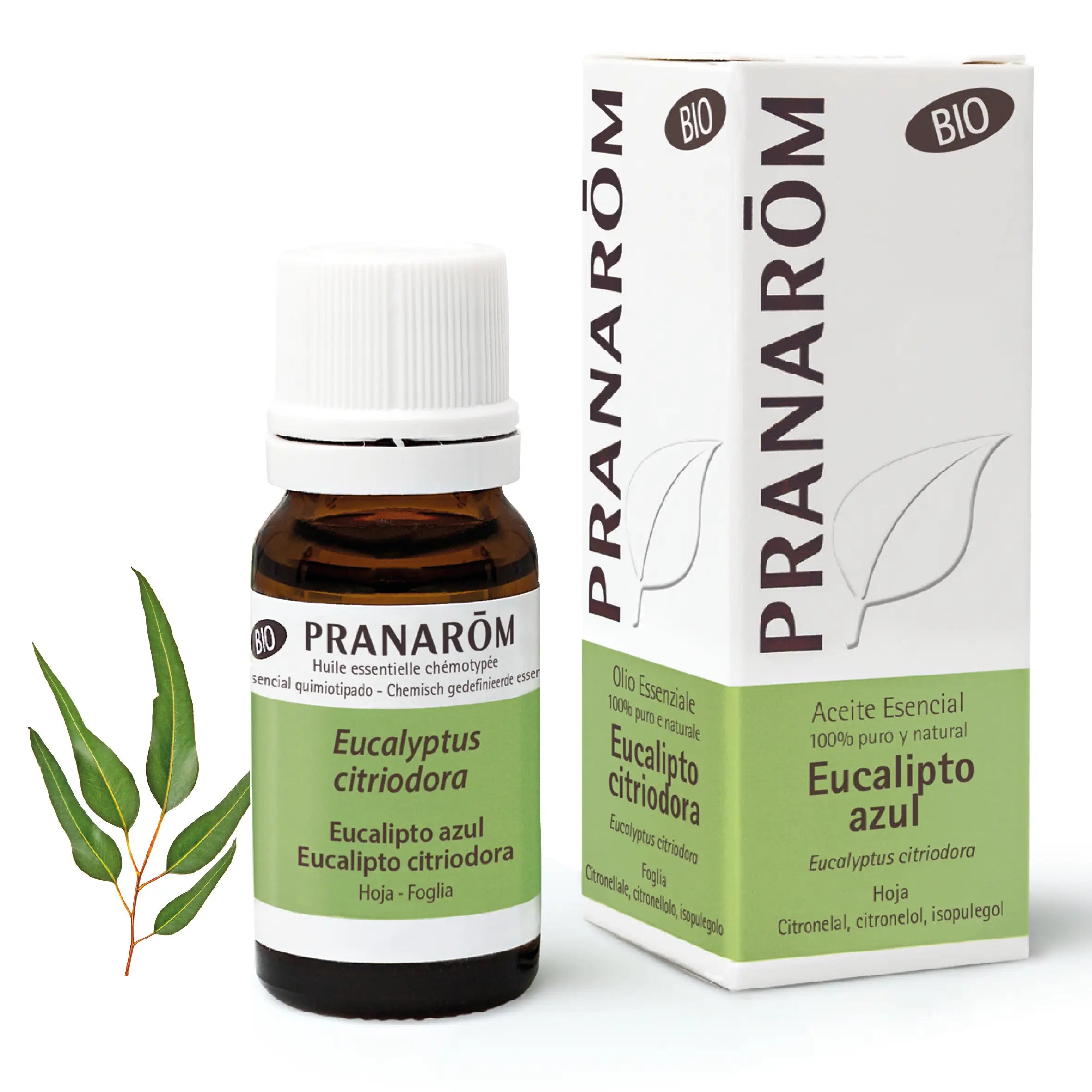 Pranarom Essential Oil Blue Eucalyptus Bio, 10ml