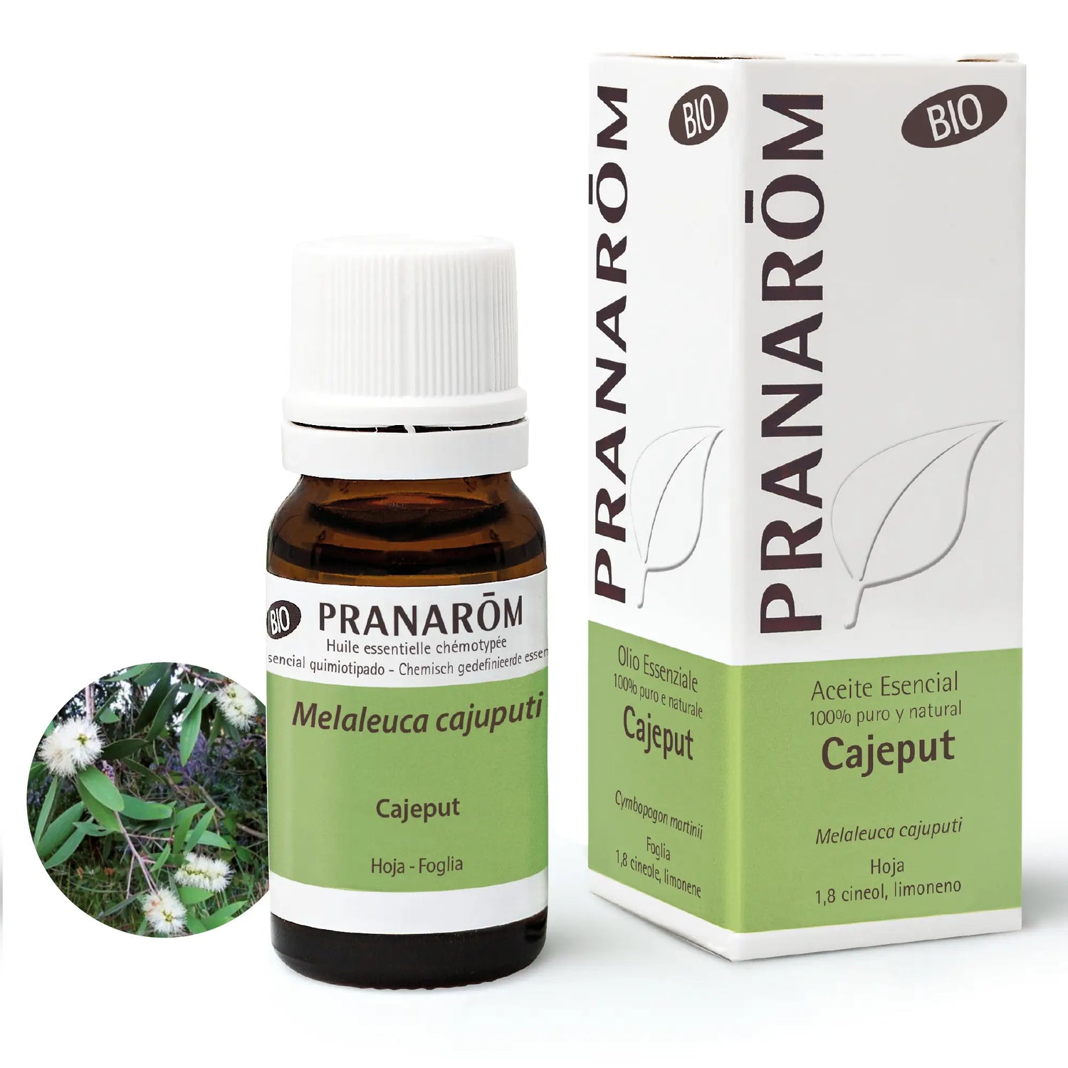 Pranarôm Melaleuca Cajeput ORGANIC