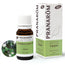 Pranarôm Melaleuca Cajeput ORGANIC