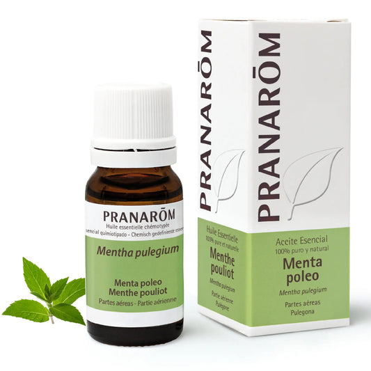 Pranarom Essential Oil Pennyroyal Mint, 10ml
