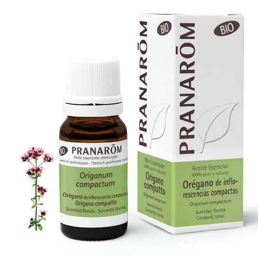 Pranarôm Oregano Organic Compact Inflorescences, 10 ml