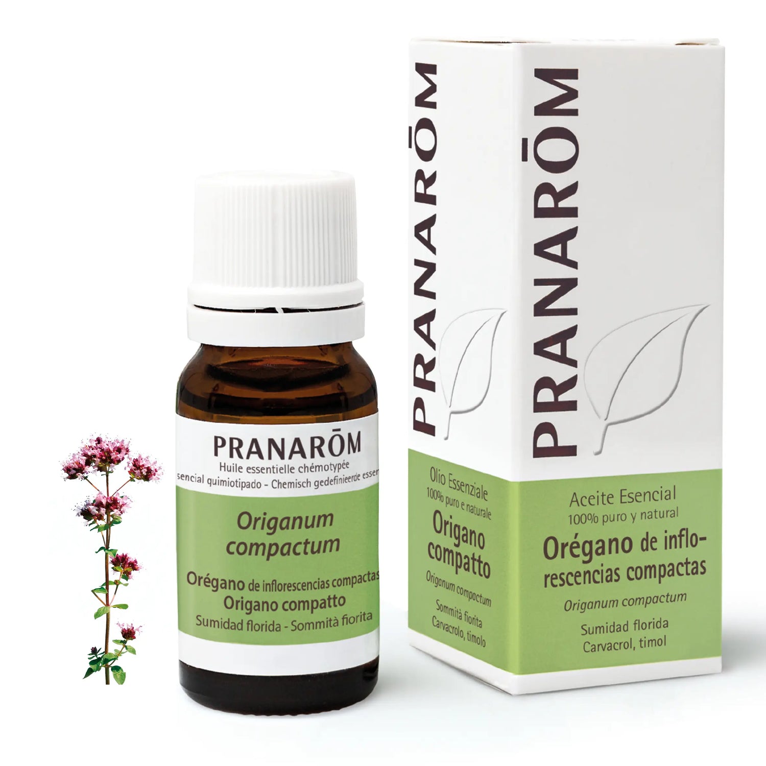 Pranarôm Oregano From Compact Inflorescences 10 ml