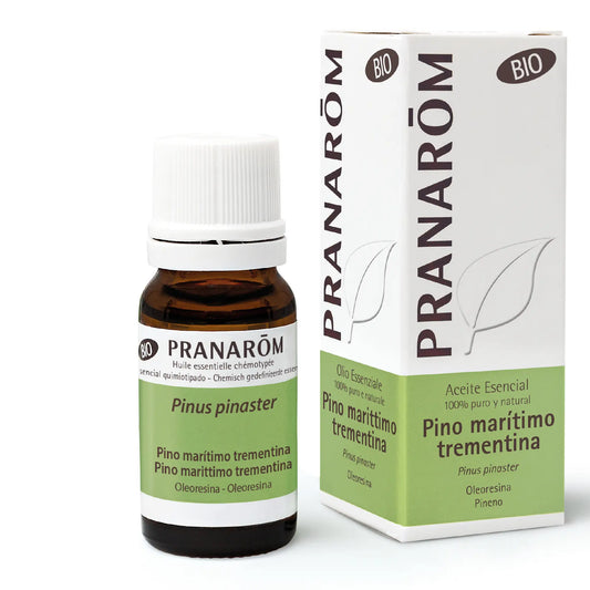 Pranarom Essential Oil Maritime Pine Bio, 10ml
