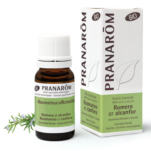 Pranarôm Rosemary Qt Organic Camphor, 10 ml