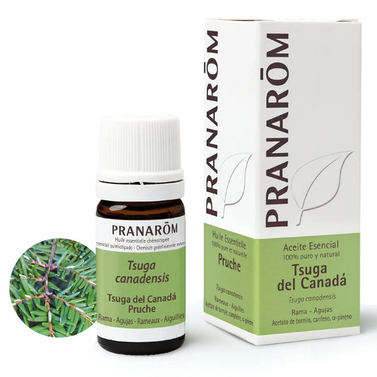 Pranarôm Tsuga From Canada 5 ml