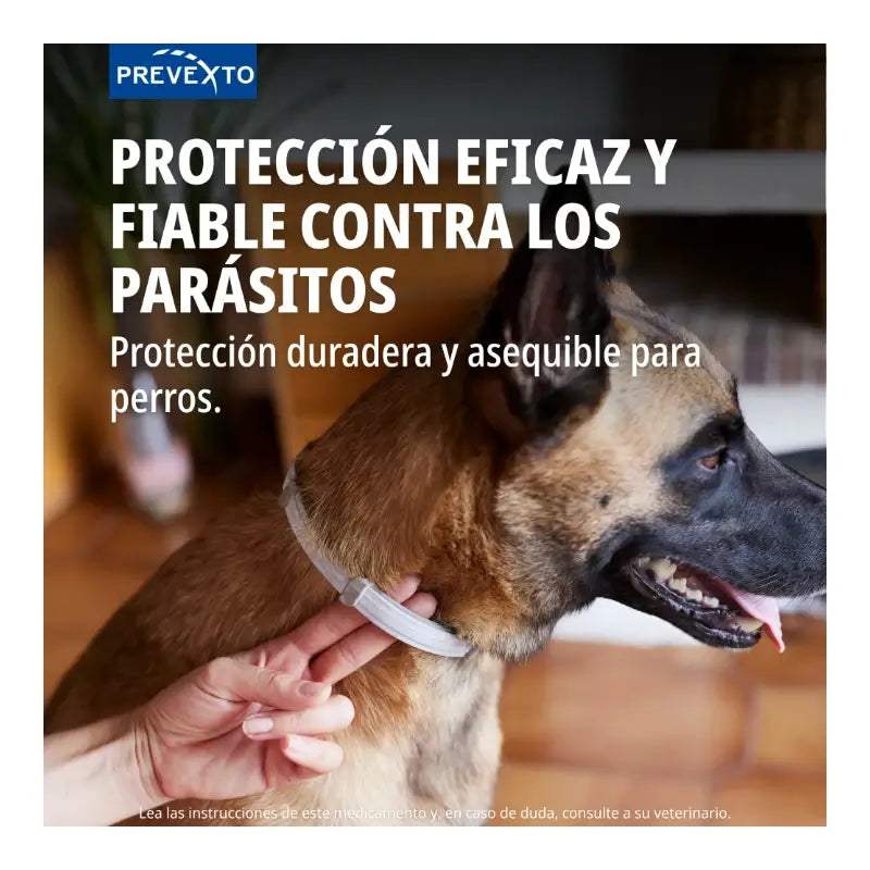 Collier antiparasitaire Prevexto pour chiens de plus de 8 kg, 70 cm