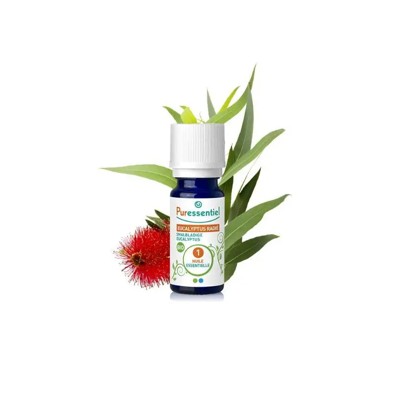 Puressentiel Huile Essentielle Eucalyptus Radiata Bio, 10 ml