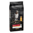 Purina Pro Plan Canine Adult Balance Medium 14Kg , dog food for dogs