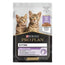 Purina Pro Plan Feline Junior Turkey 26X85Gr, wet food for cats