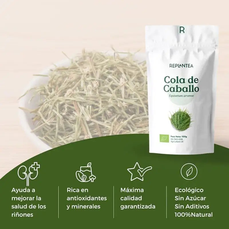 Replantea Prêle Bio, 100 g