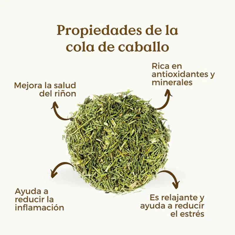 Replantea Prêle Bio, 100 g