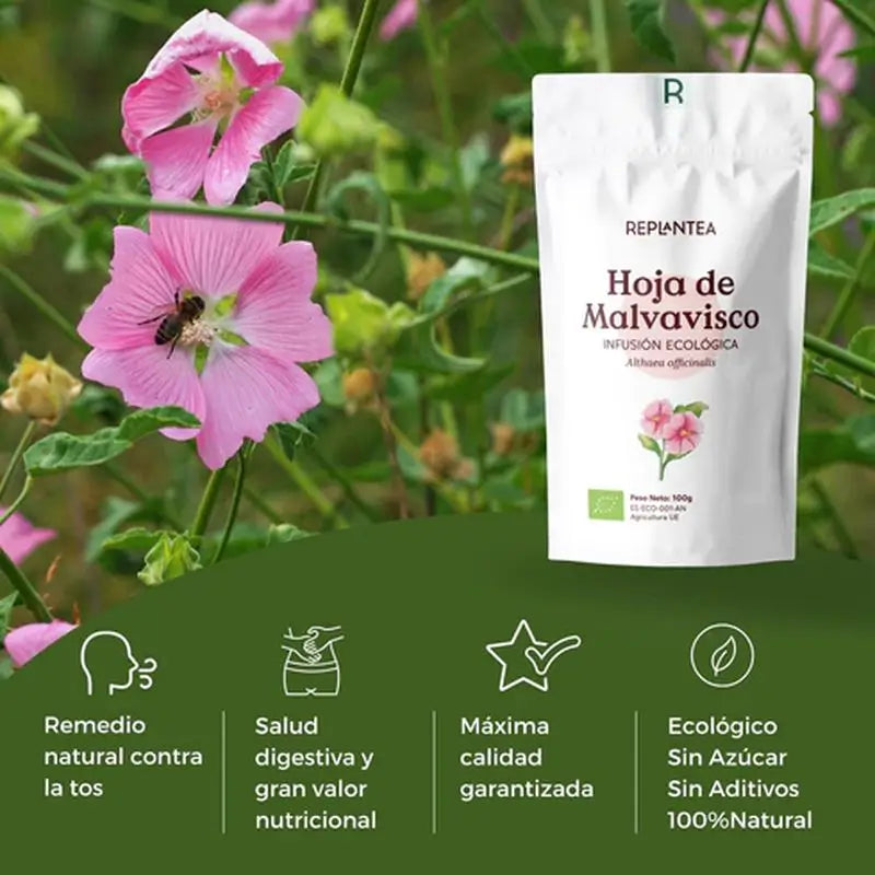 Replantea Infusion de Guimauve ou Infusion de Chanvre Bio, 100 g