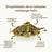 Replantea Infusion pour un estomac heureux Bio, 100 g