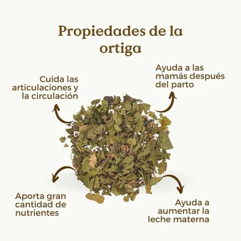 Ortie replantante Bio, 100 g