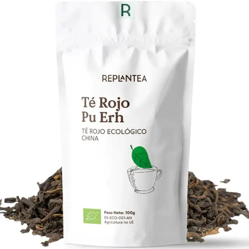Replantea Slim Pack Thés avec filtre, 3 unités