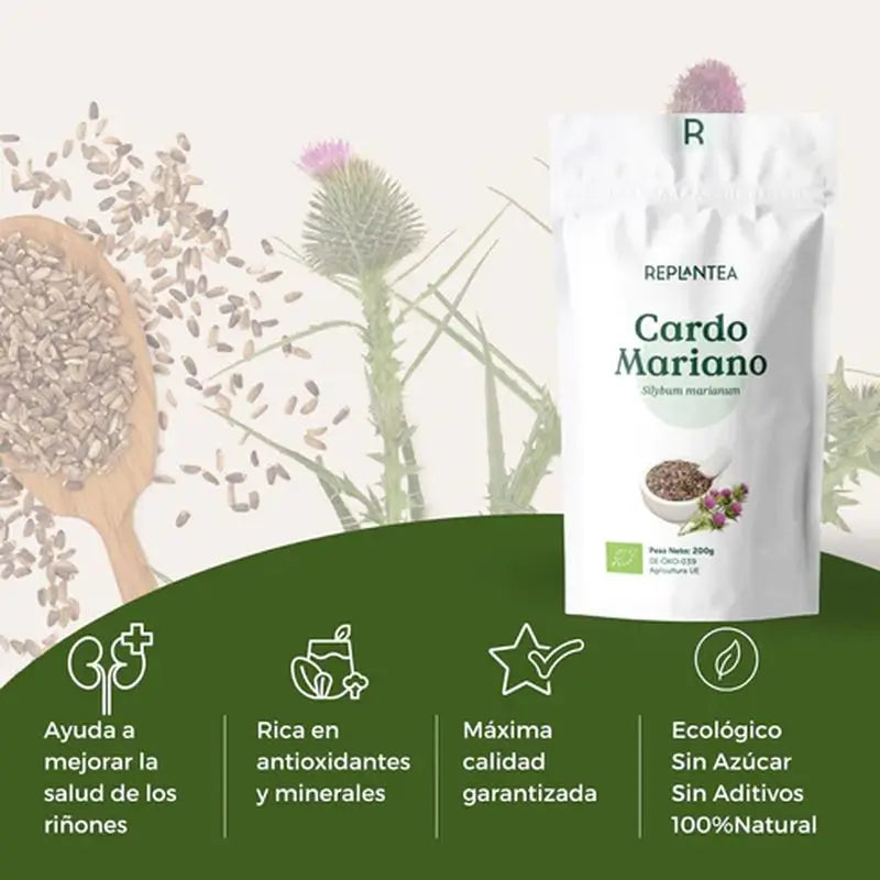 Replantea Graines de Chardon Marie Bio, 200 g