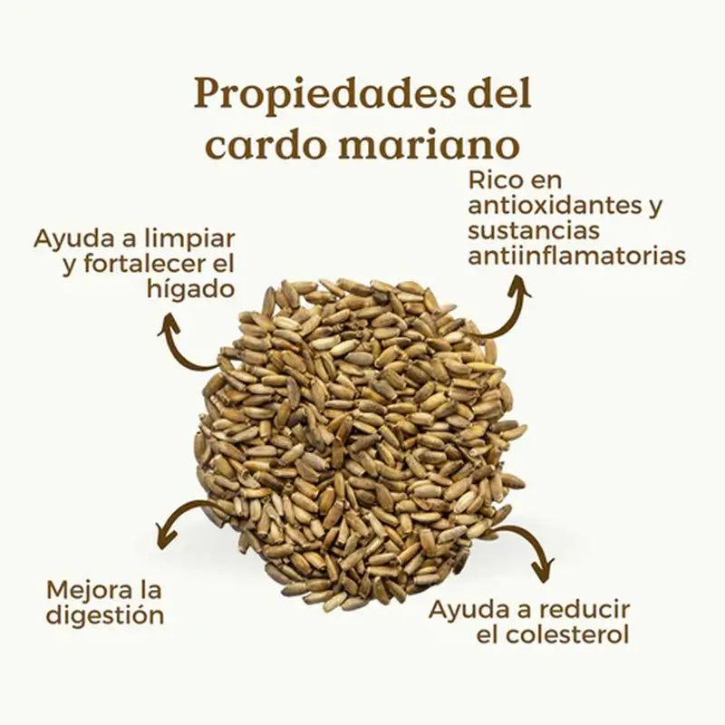 Replantea Graines de Chardon Marie Bio, 200 g