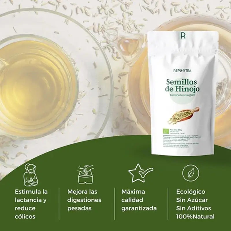 Replantea Graines de Fenouil Bio, 200 g