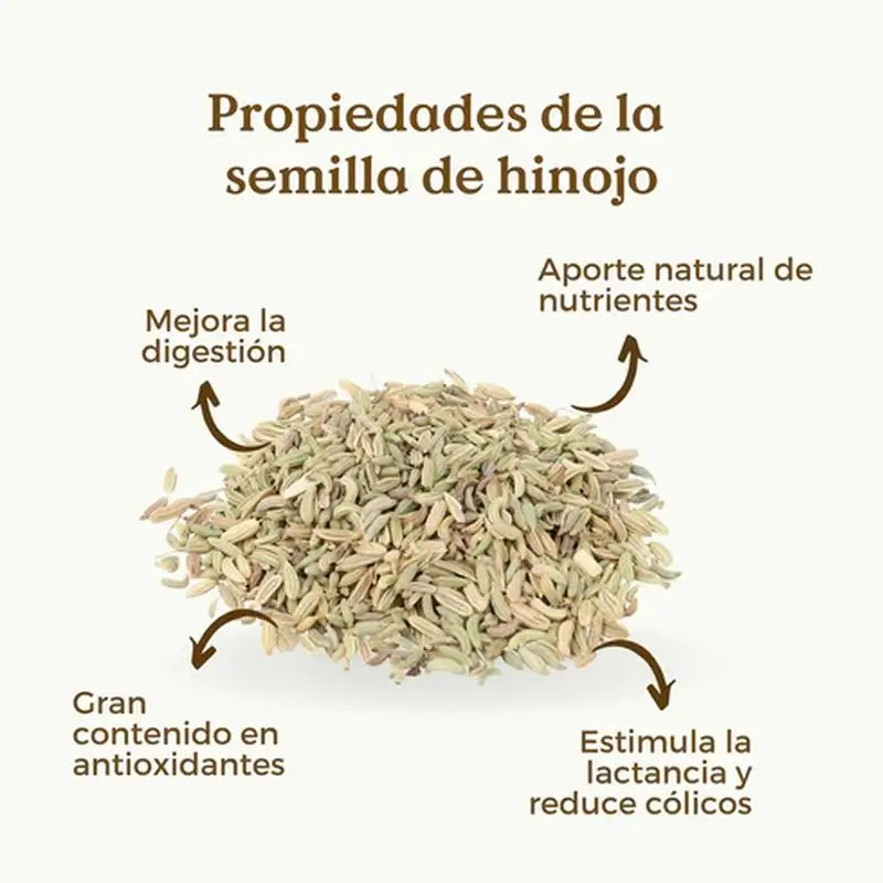 Replantea Graines de Fenouil Bio, 200 g