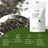 Replantea Thé vert au jasmin biologique, 100 g