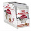Royal Canin Adult Instinctive Pouch Gelatine Box 12X85Gr, wet cat food
